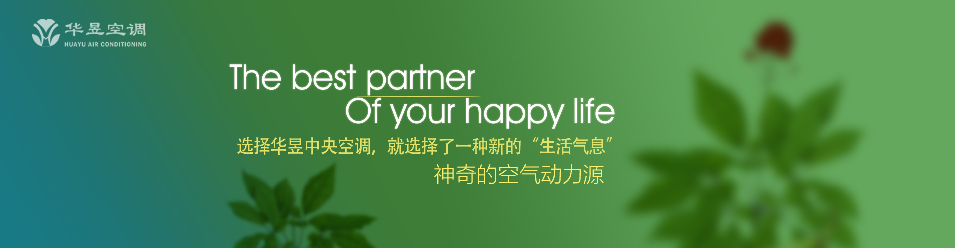 出神入定网